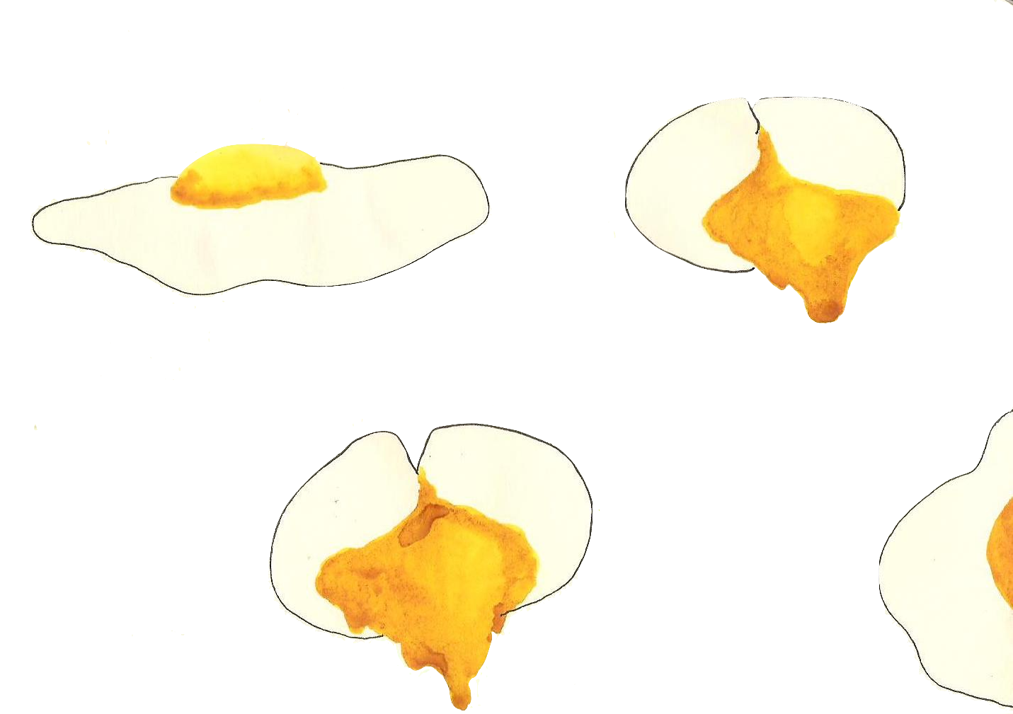 More Eggs Please