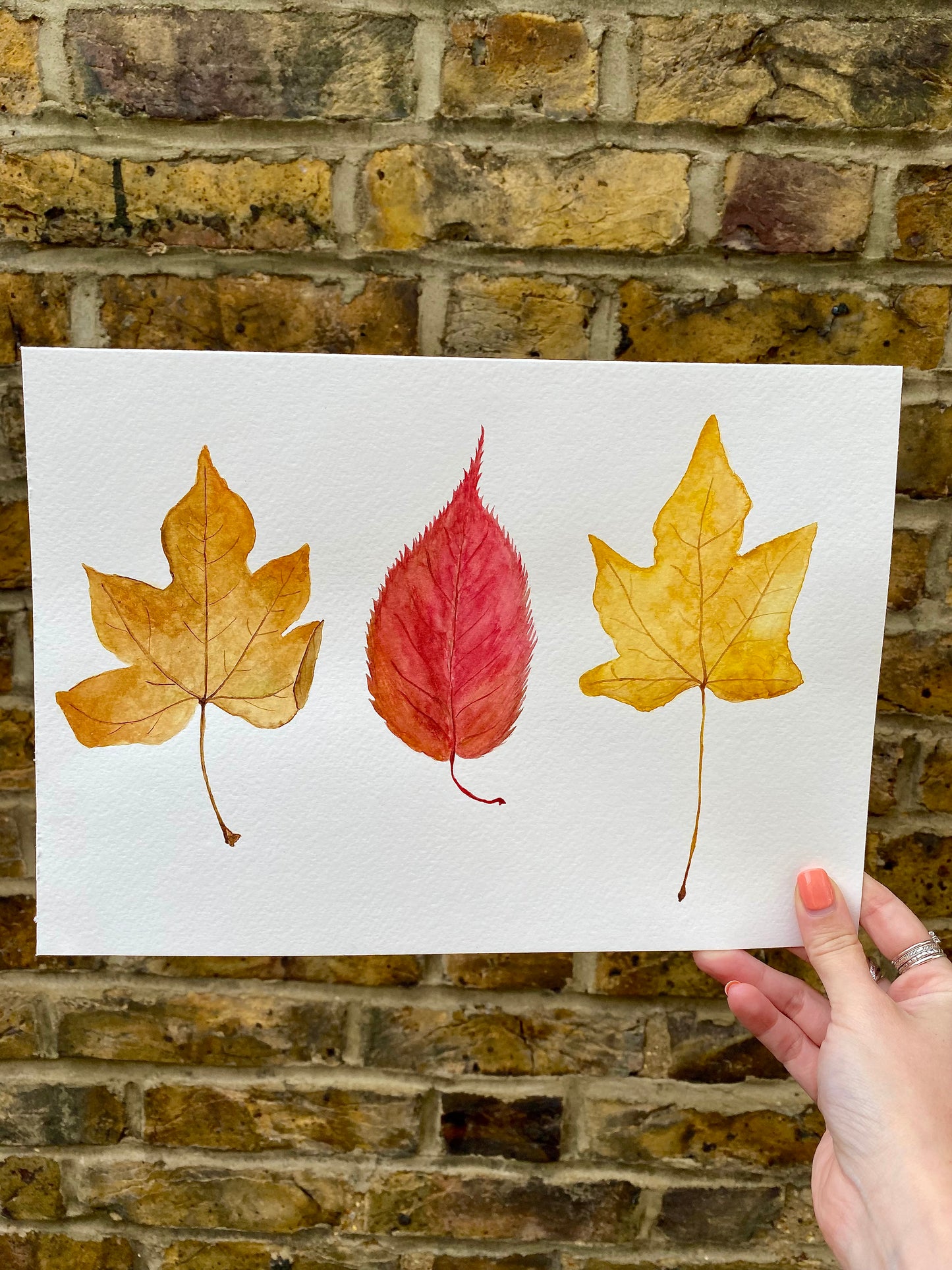 Can You Be-Leaf It's Autumn?
