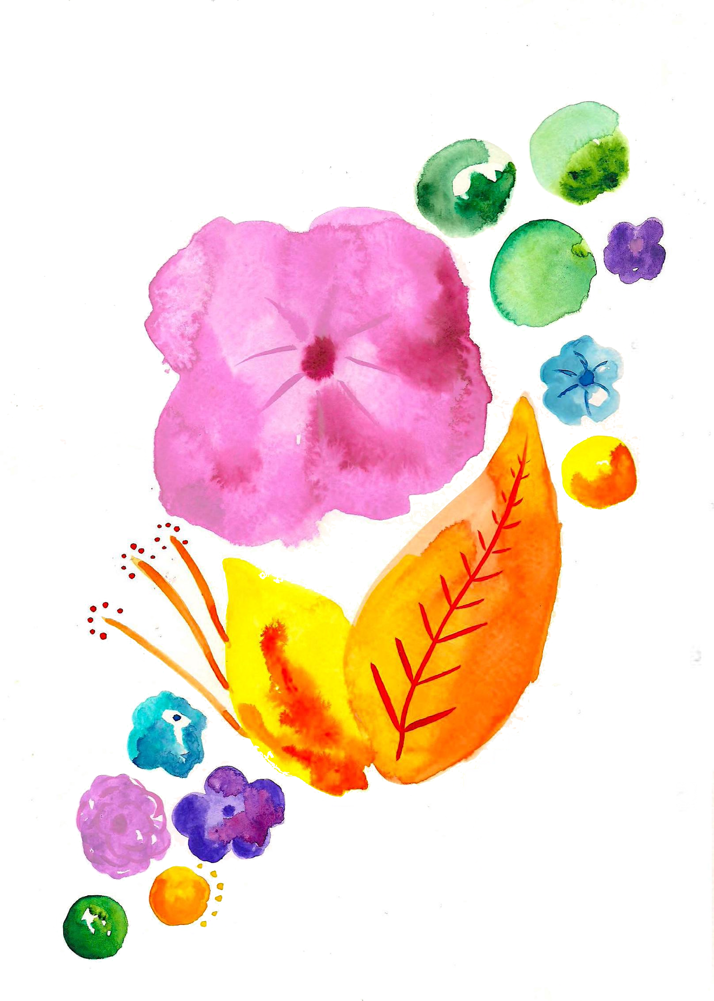 Limited Edition Paris Florals - Summer 2022