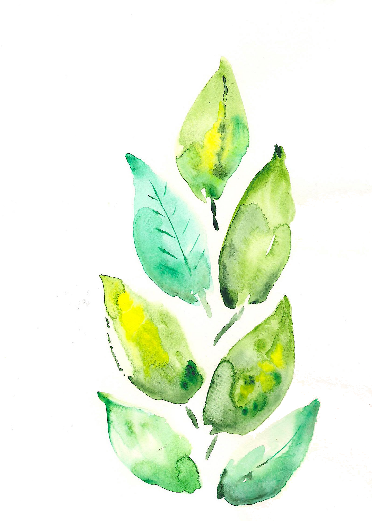 Limited Edition Paris Leaves - Summer 2022