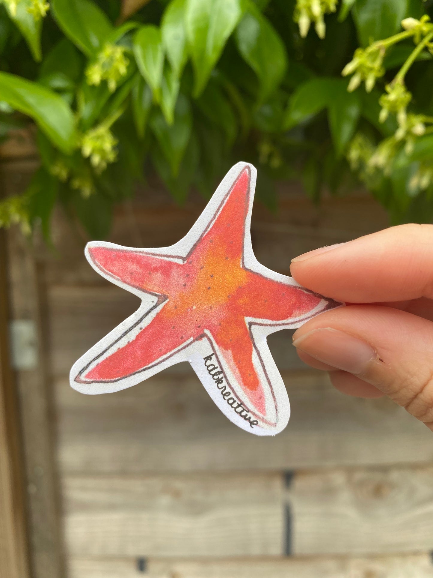 Summer Shells Sticker Bundle