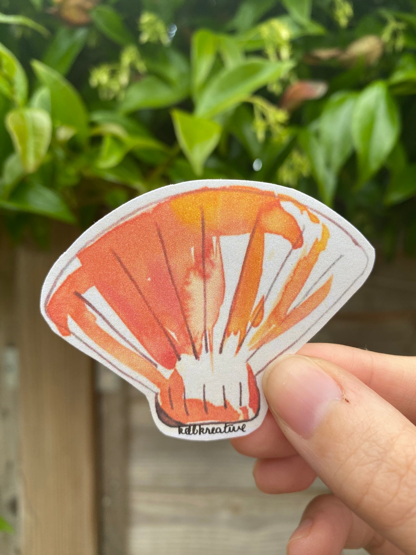 Summer Shells Sticker Bundle