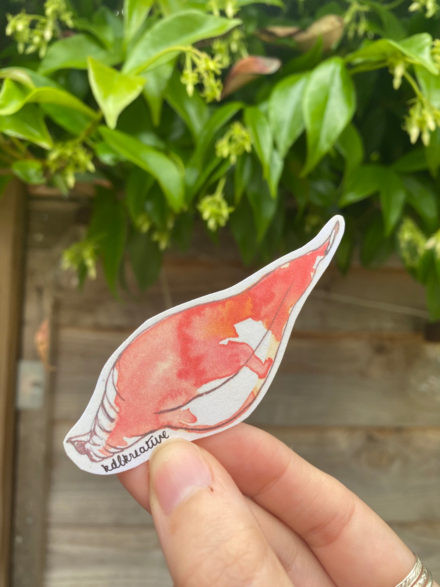 Summer Shells Sticker Bundle