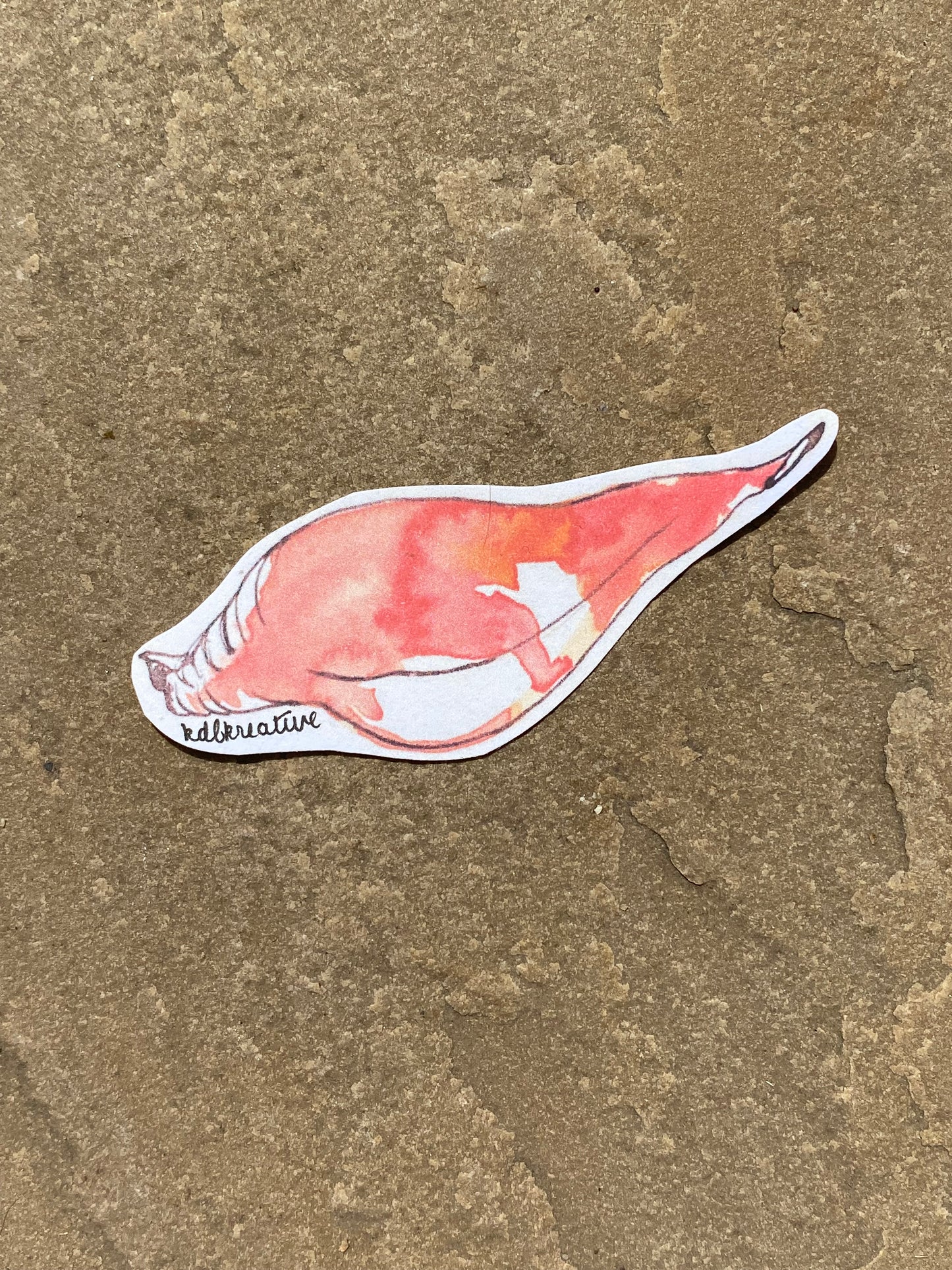Summer Shells Sticker Bundle