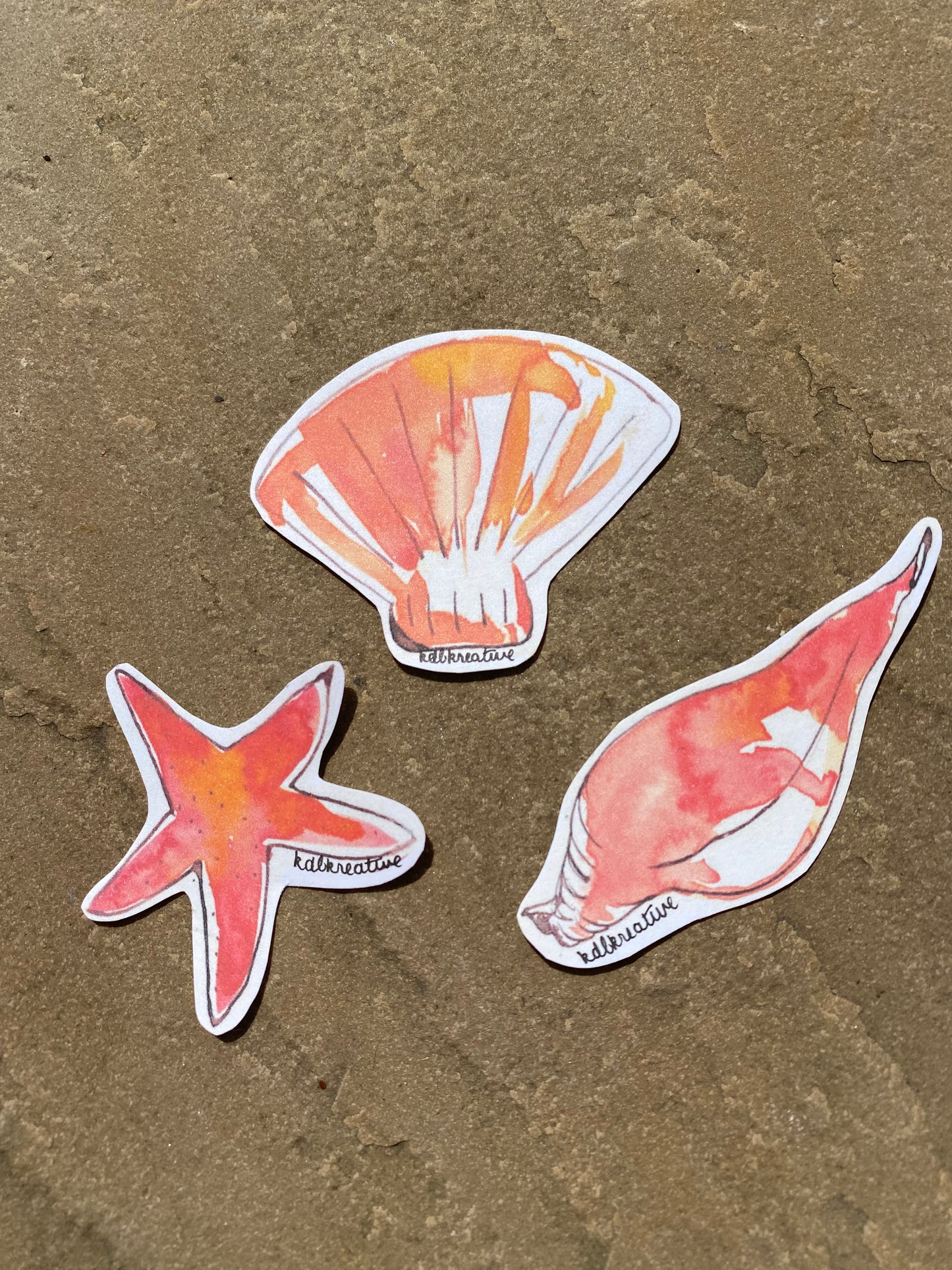 Summer Shells Sticker Bundle