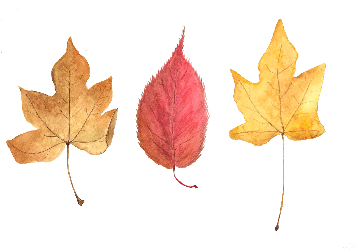 Can You Be-Leaf It's Autumn?