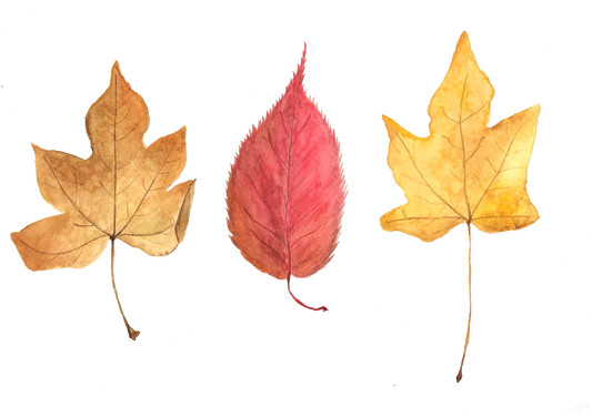 Can You Be-Leaf It's Autumn?