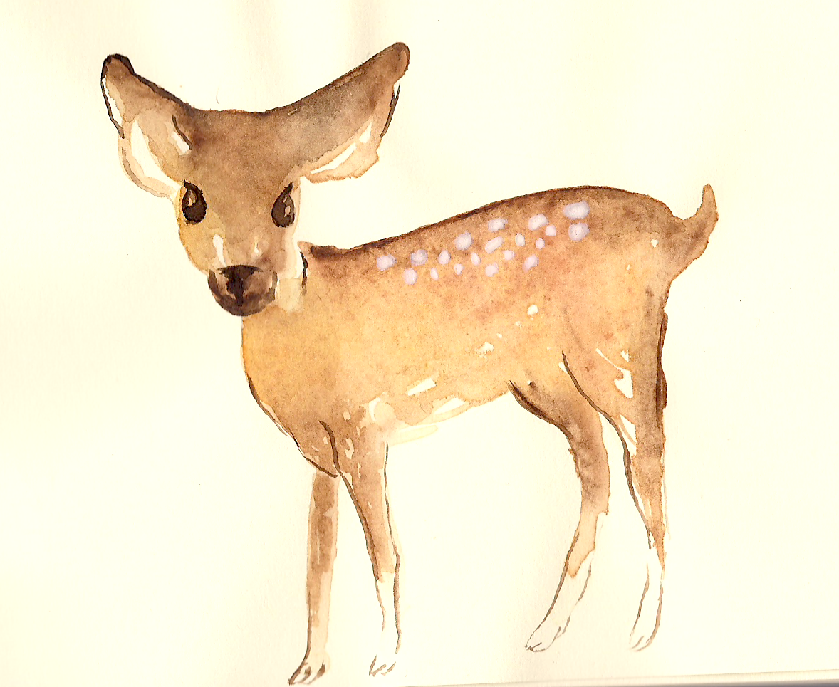 Nara the Fawn