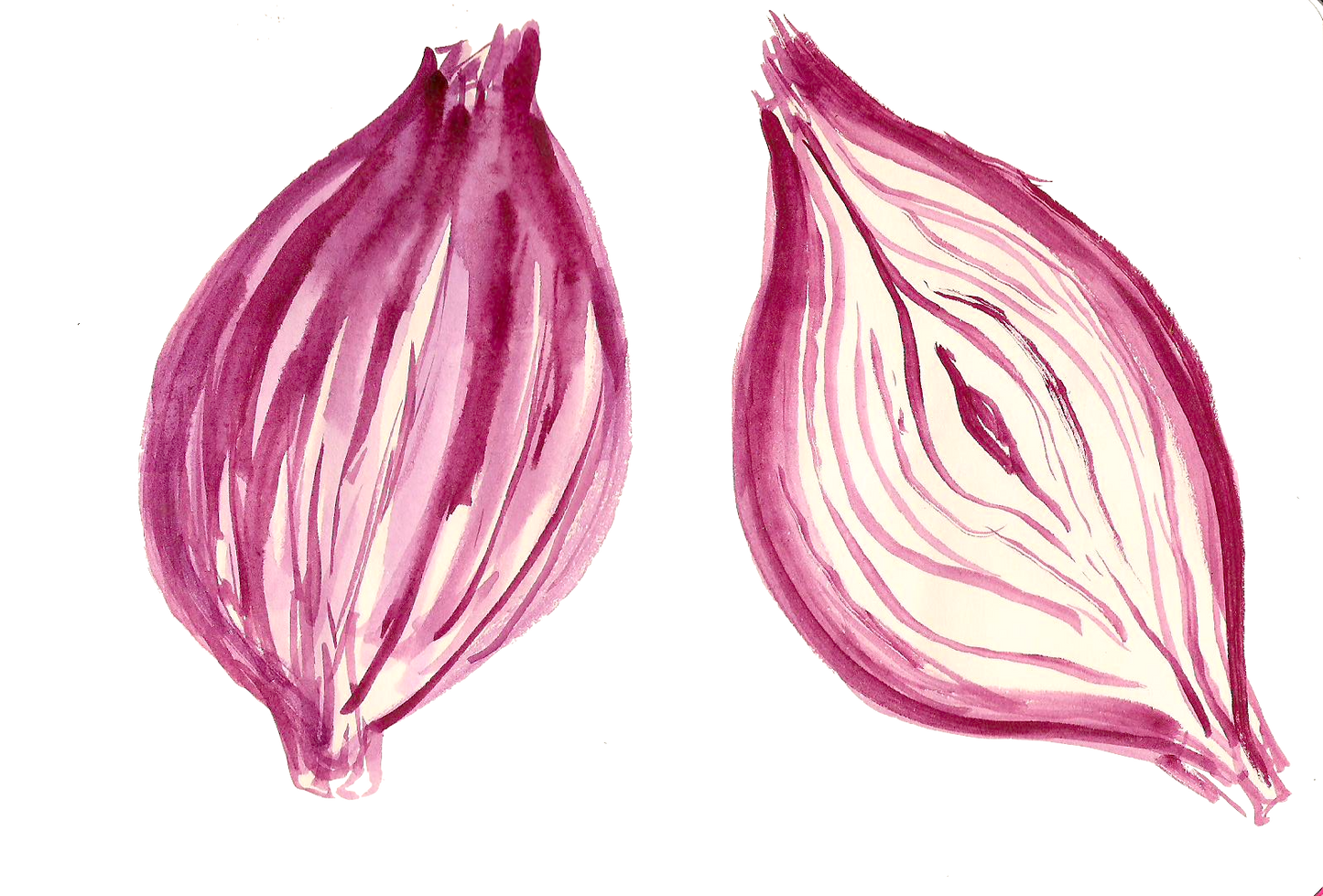 Red Onions