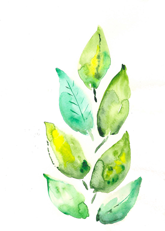 Limited Edition Paris Leaves - Summer 2022